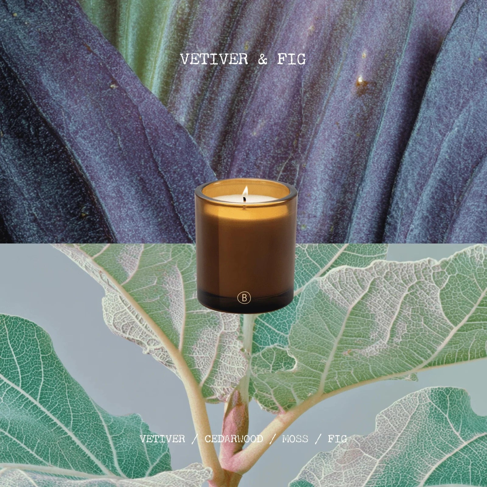 Vetiver & Fig Scented Candle